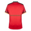 Maillot de Supporter Cameroun Troisième Coupe du Monde 2022 Pour Homme